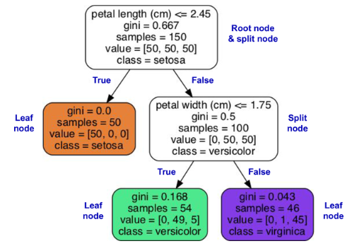 Iris decision tree from the book